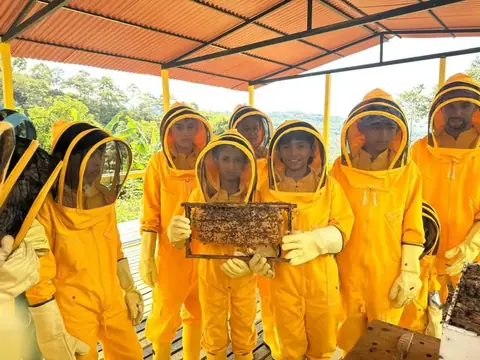 Bee Route
