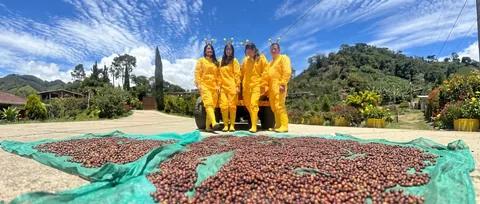 Tour abejas y café