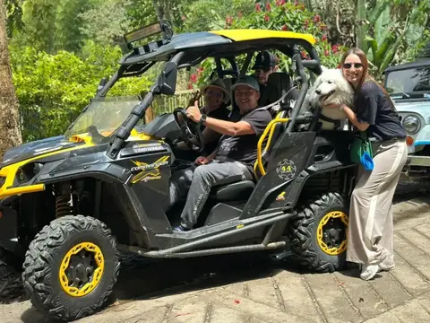 Buggy
