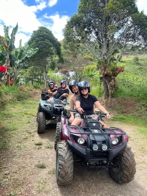 ATVs