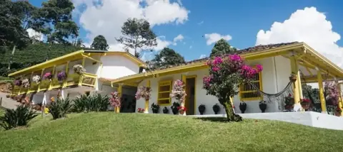 Bee Trail + Rural Accommodation