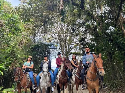 Horseback Tour