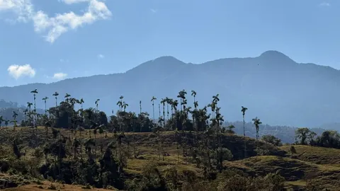 Esplendor – Valle de las Palmas